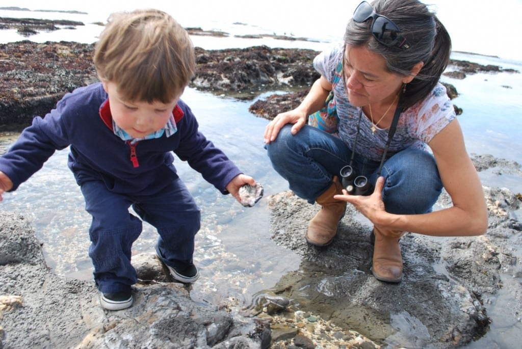 Look for sea stars, urchins, crabs and more at the Fitzgerald Marine Reserve. PHOTO BY MIMI SLAWOFF
