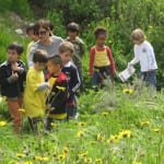 Nature Club for Families: Local Birds of the White Point Nature Preserve
