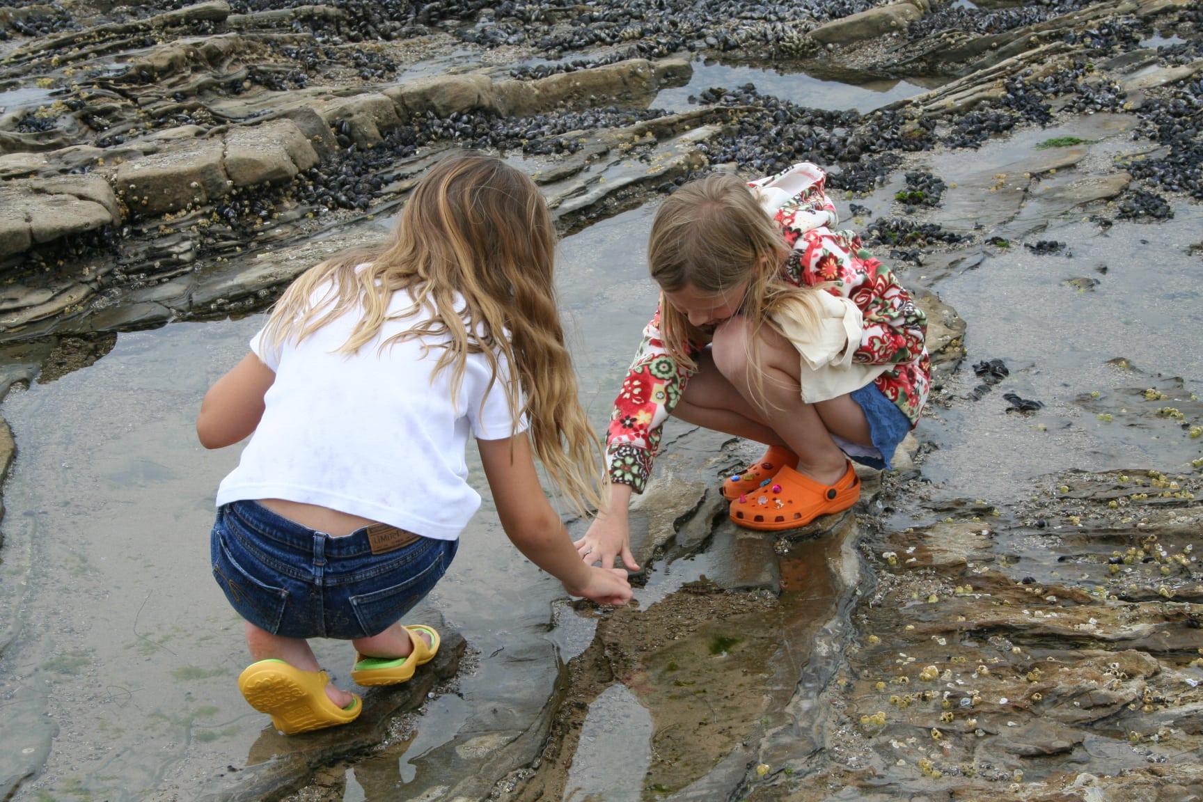 Salt Marsh Open House