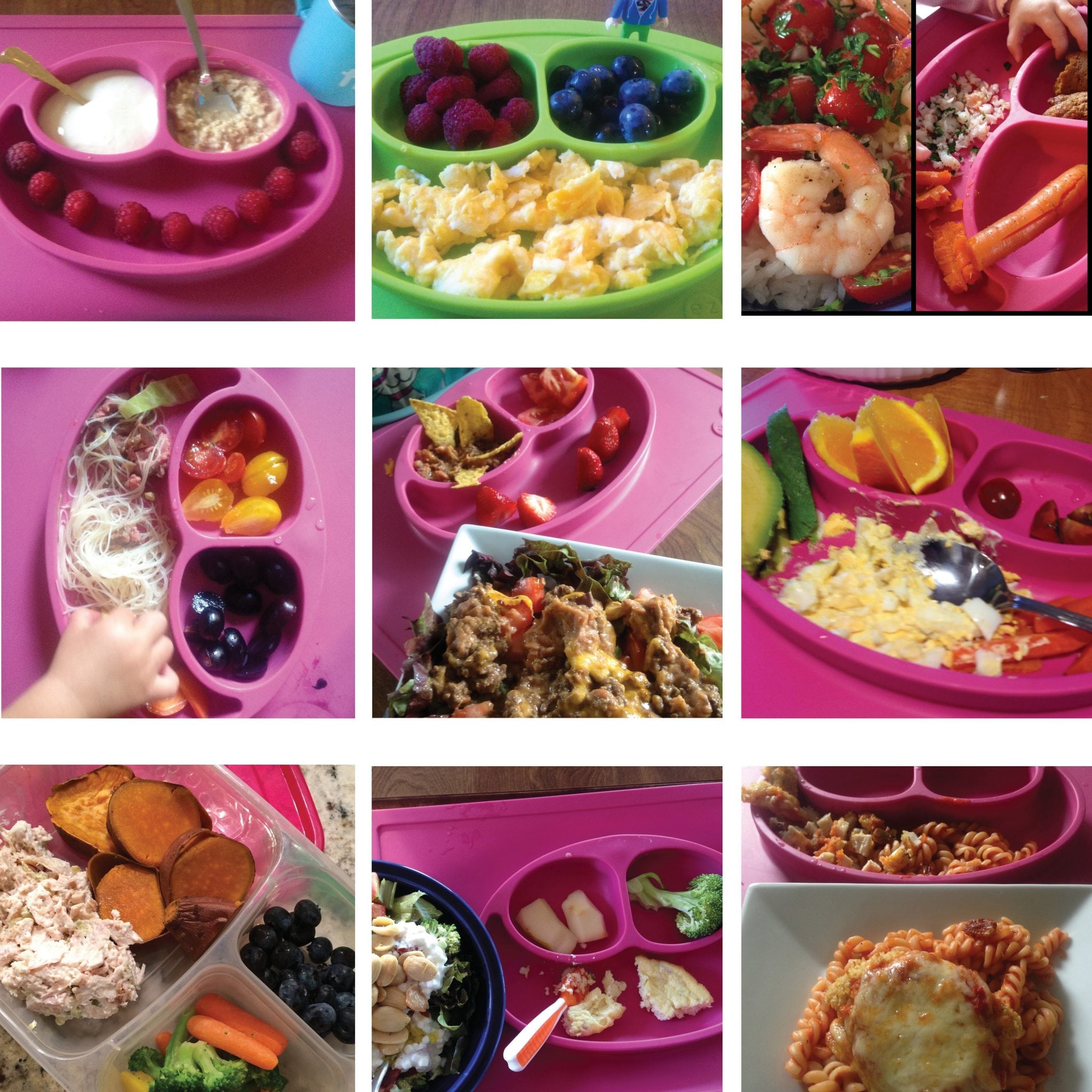 Introducing Solid Foods With The Help Of The Born To Eat Cookbook
