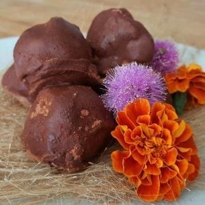 vegan date truffles