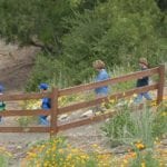 George F Canyon Preserve Nature Club for Families