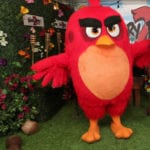Angry Birds 2 Character Visit