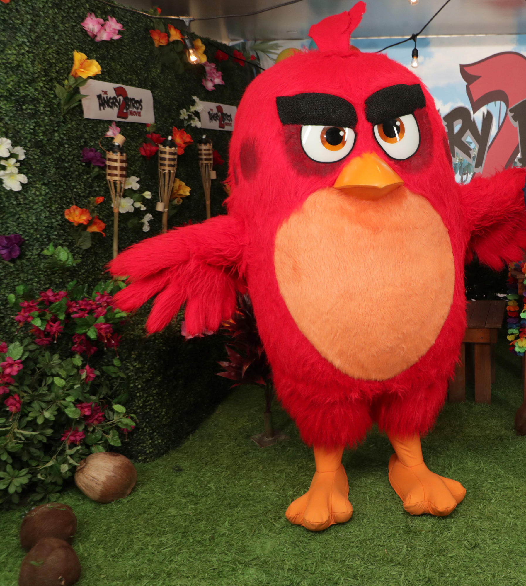Angry Birds 2 Character Visit
