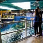 Aquarium of the Pacific Behind the Scenes Tour