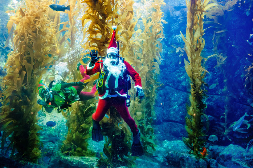 Scuba Santa at Birch Aquarium