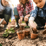 Urban Gardening 101: From the Ground Up