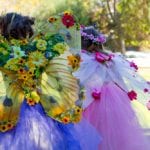 A Faery Hunt Show and Zoom Spring Fairy Party!