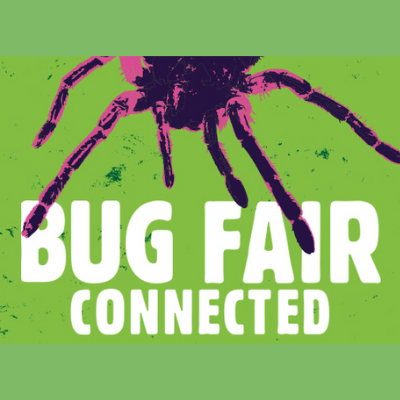 Bug Fair Connected