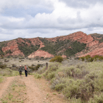 Wilderness Access Day: Black Star Canyon