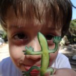 Family Nature Club: Lizards