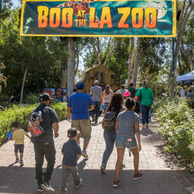 Boo at the L.A. Zoo