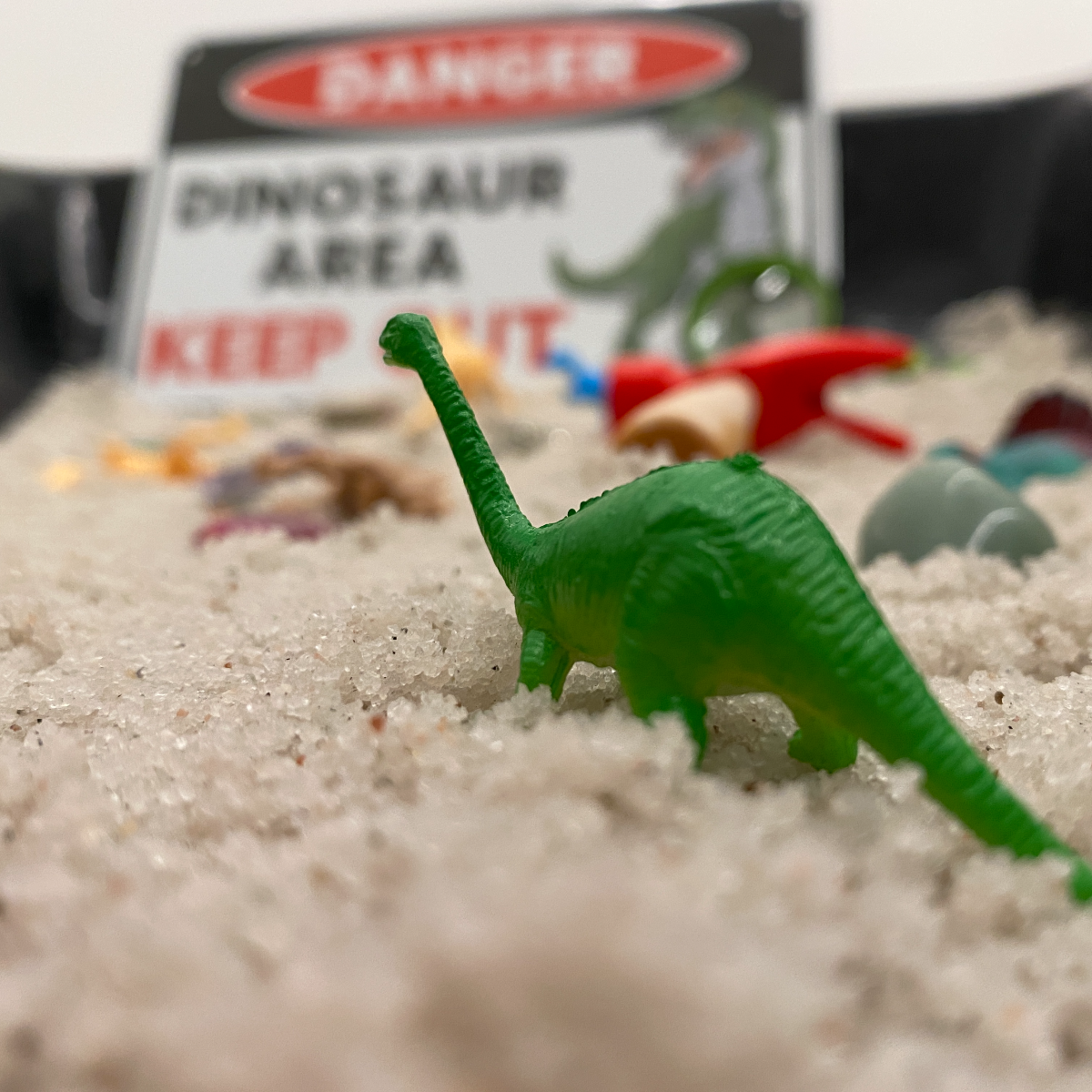 The Great Dino Dig