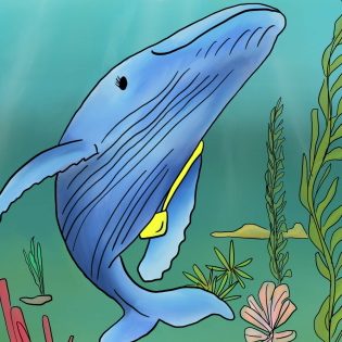 Family Nature Club: Whales