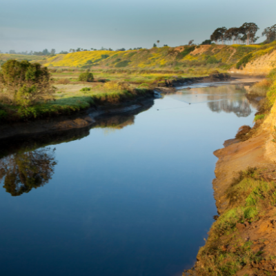 Junior Ranger Day at the Bay