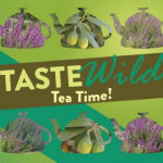 Taste Wild: Tea Time