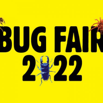 Bug Fair 2022