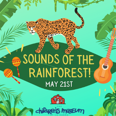 Sounds of The Rainforest!