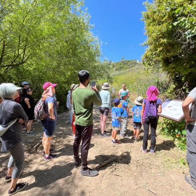 Guided Nature Walk in Palos Verdes
