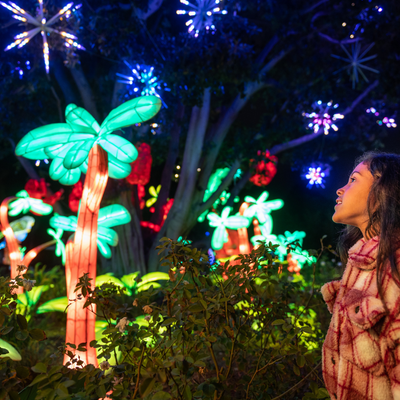 Family New Year's Eve at L.A. Zoo Lights: Animals Aglow