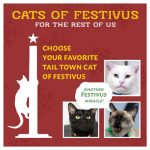 Tail Town’s Cats of Festivus