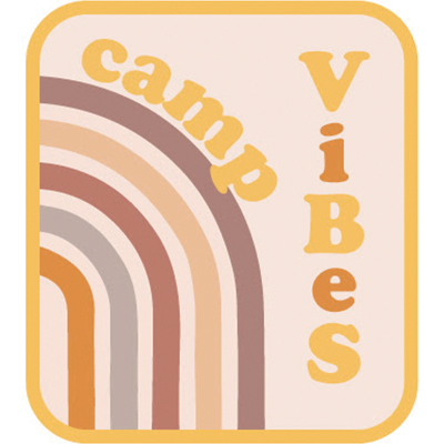 Camp ViBeS