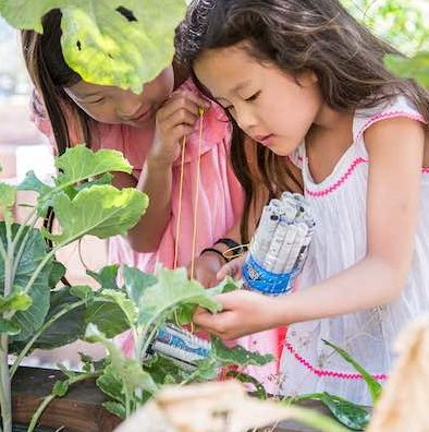 Family Garden Workshop at Hauser and Wirth