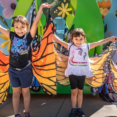 Butterfly Season at Kidspace Museum