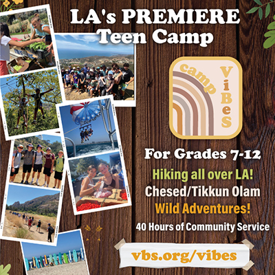 Camp ViBeS
