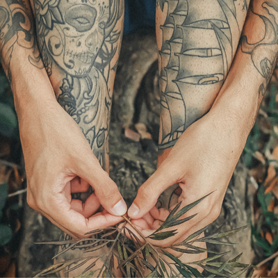 Green Palm Tree tattoo Forest Tattoos Plant tattoo Botanical Temporary  tattoos - Shop LAZY DUO TATTOO Temporary Tattoos - Pinkoi