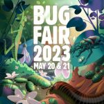 Bug Fair at the Natural History Museum