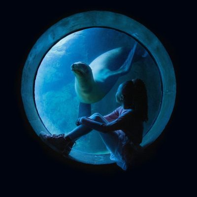 Aquarium of the Pacific's 25th Anniversary Celebration