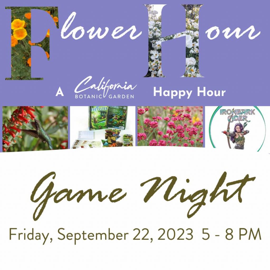 Flower Hour Game Night L.A. Parent