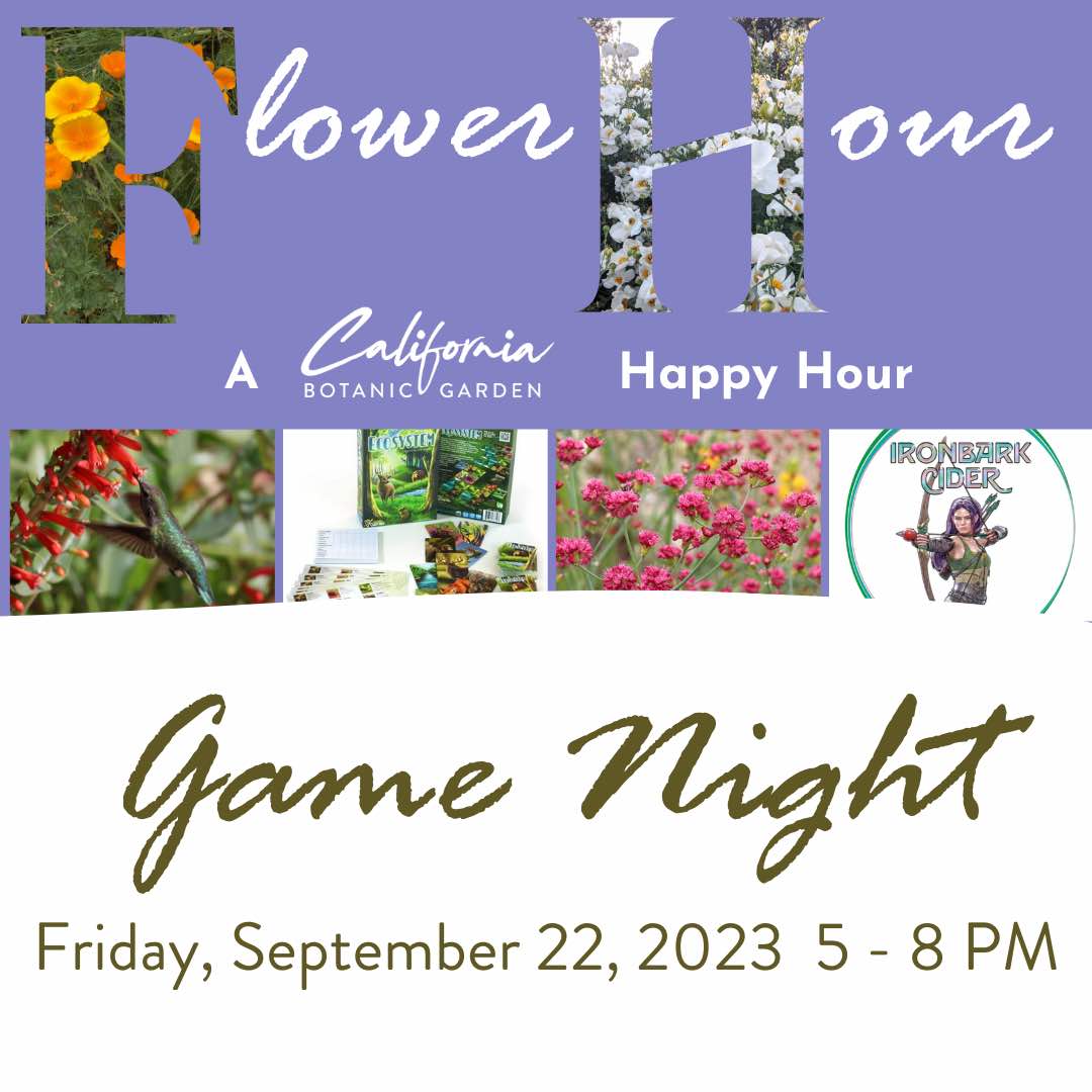 Flower Hour: Game Night