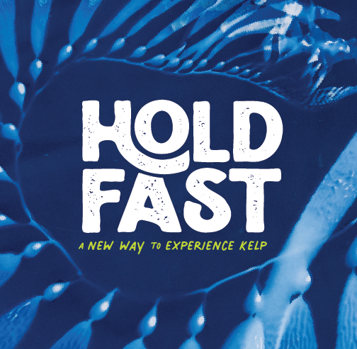 Hold Fast: A New Way to Experience Kelp
