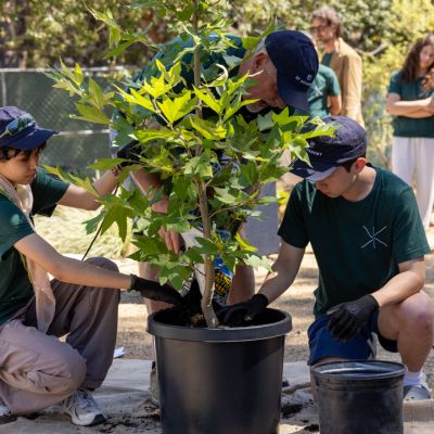 Students plant trees for Pacific Palisades affected by wildfires.
